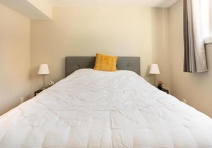ENTIRE 2 BEDROOM APARTMENT DOWNTOWN - u1