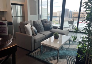 Executive Luxury 2 bed Spacious Downtown WIFI laundry