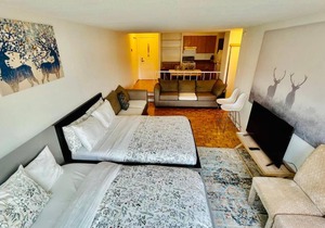 Exquisite Skyview Downtown Montreal Apartment