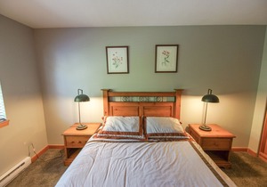 Forest Trails - Easy Ski Access, Private Garage, Free Village Shuttle