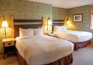 Fox Hotel and Suites