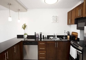 Free Parking & Wi-Fi! Luxury Studio Suite