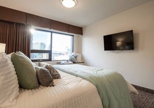 Free Parking & Wi-Fi! One Bedroom Luxury Suite