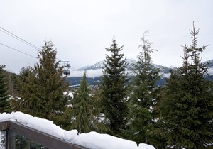 Guest Favourite w/ Ski-In-Out Access, Hot Tub