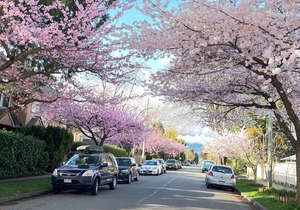 heart of Kitsilano area, 5 mins walk to kits beach