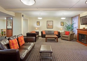 Just Minutes to Old Port! 3 Classy Units, Shopping & Dining, Full Kitchens