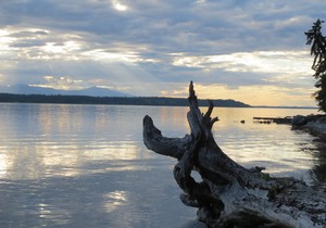 KEMA Hornby Island - House - Waterfront access on property across road