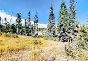 Lac Le Jeune #17