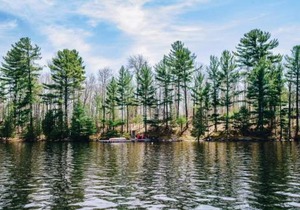 Lakeside Cottage On Muskoka Shores