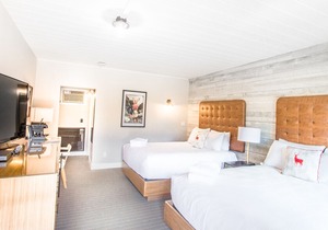 Lamphouse Hotel I Double Queen Room
