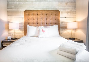 Lamphouse I Queen Suite