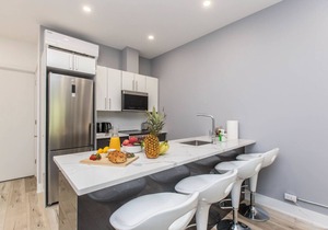 Lofts du Parc Lahaie - Mile End - Seductive Studio, Apt 301