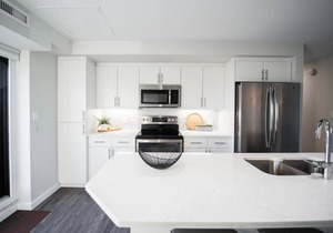 Luxurious 2 bed 2 bath penthouse PH1 downtown
