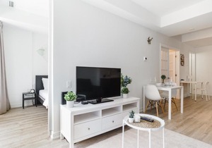Luxury 2BR Condo steps from Subway