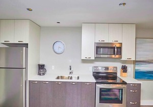 Luxury Boutique Condo 3B
