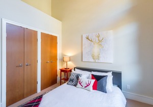 Luxury Fitzsimmons Walk, Private Hot Tub, Views & Private Garage!