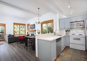 Mountain Star 16 - Ski in Walk out, Private Hot Tub, Fireplace