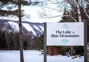 Mountain View Boutique Suite with contactless entry - The Lake at Blue Mountains