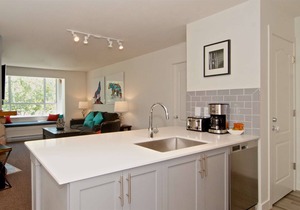 MOUNTAIN VIEWS + VILLAGE LOCATION! Professionally Managed + Cleaned