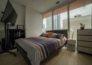 New Luxury 1 Bedroom Downtown Apartment