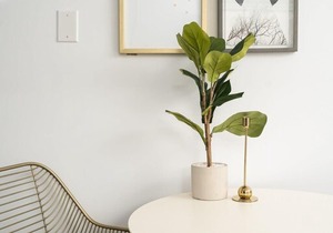 Newly renovated 1 bedroom Studio near Berri-UQAM