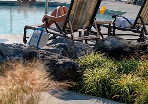 Oak Bay Beach Hotel