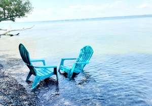Pebbles Beach Resort - Swan cottage
