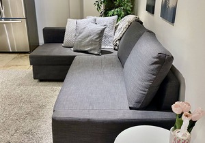 Pet friendly cozy basement apartment in Queen West