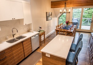 Pinnacle Ridge 36 - Ski in Ski out, Newly Renovated, Private Hot Tub, Wood Fireplace