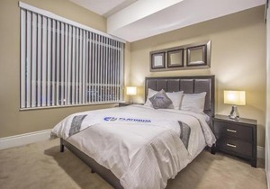 Platinum Suites Furnished Executive Suites