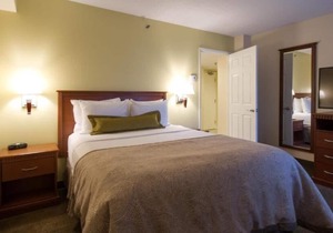 Prime Location! 4 Relaxing Units, Near Old Port, Place des Arts, Notre Dame