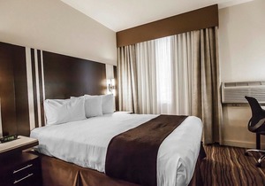 Quality Hotel Airport South