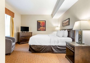 Quality Inn Sarnia