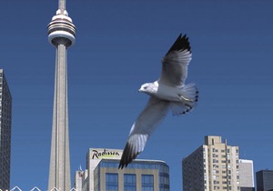 Radisson Blu Toronto Downtown
