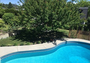Relax Poolside in West Kelowna