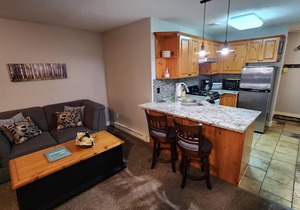 Ski-in|Ski-out, Renovated 1 king bedroom, 2 bath, private hot tub in Snow Creek