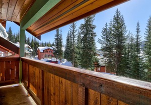 Ski-in|Ski-out, Renovated 1 king bedroom, 2 bath, private hot tub in Snow Creek