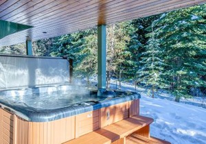Snow Creek Village #37 By Bear Country