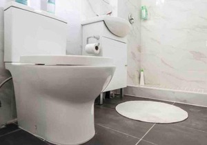 Spacious 2bd room Appartement in Plateau Montroyal