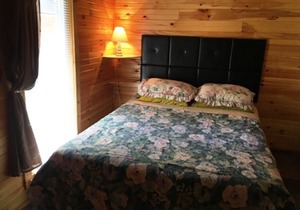 Springwood Cottages - Cottage #4 - Arden - Kennebec Lake