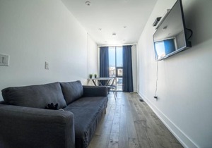 Stylish Home in Queen West
