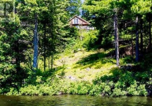 Sunny Hilltop Hideaway on the Lake
