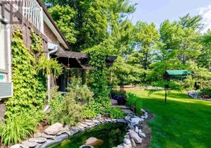 Sunny Hilltop Hideaway on the Lake
