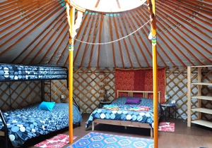 The Forest Yurt at Cabot Shores Wilderness Resort