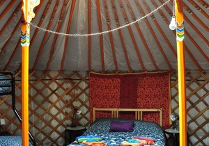 The Forest Yurt at Cabot Shores Wilderness Resort
