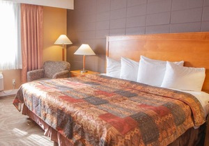 The Neighbourhood Inn