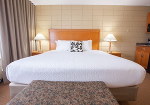 The Neighbourhood Inn