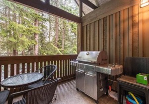 The Woods by Outpost Whistler