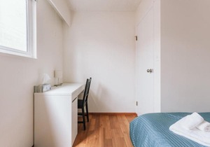Vancouver Fremlin Home