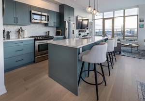 Victoria's SEA-Cret-Stunning Olympic and Inner Harbour Views from 450 sq ft Balcony